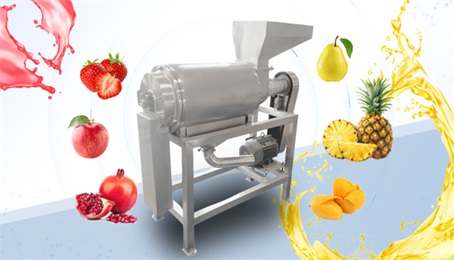 Fruit and Vegetable Juice Extractor Machine